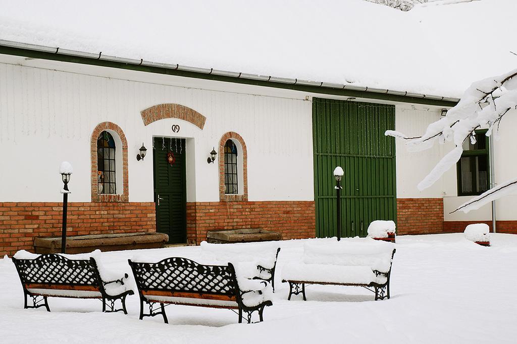 Florian Vendeghaz Guest House Villánykövesd Bagian luar foto